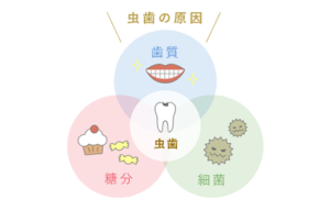 一般歯科｜すわ歯科医院・金沢自然公園